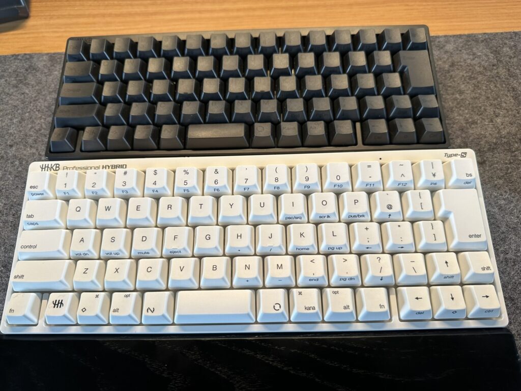 墨モデルと雪モデルの比較